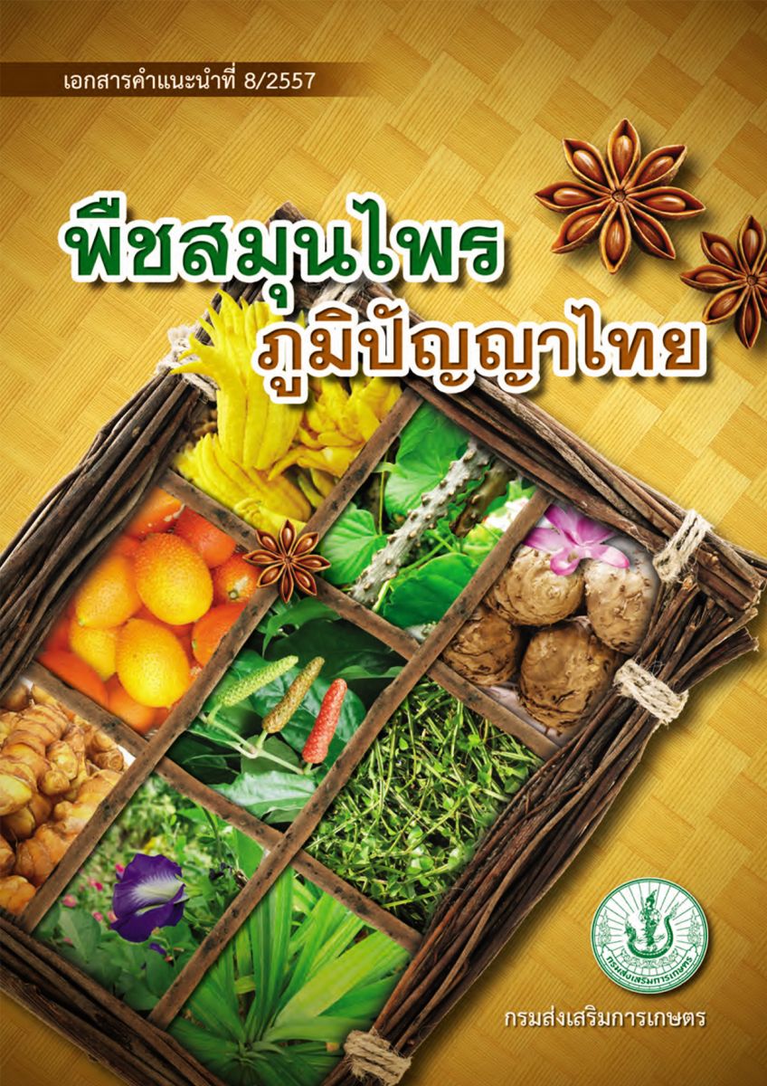 พืชสมุนไพรภูมิปัญญาไทย